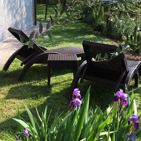 Tonini Apartment *
