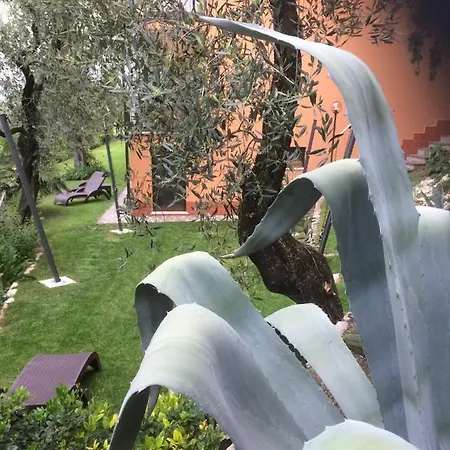 Apartment Tonini Malcesine